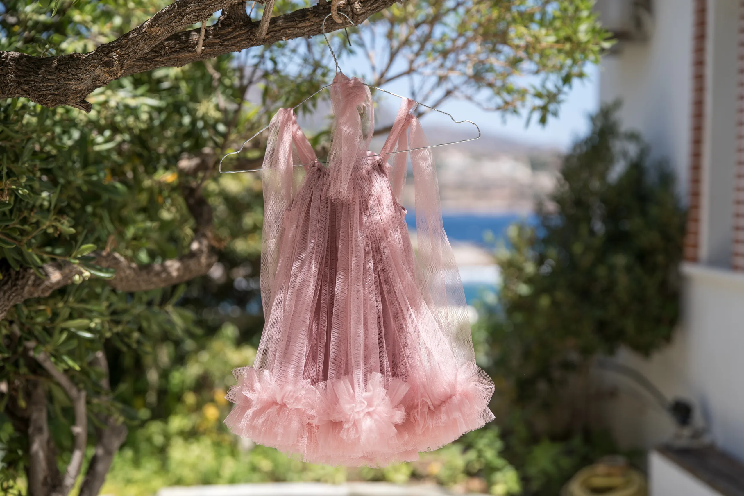 Το ροζ τούλινο φόρεμα κρεμασμένο σε ένα δέντρο δίπλα στη θάλασσα