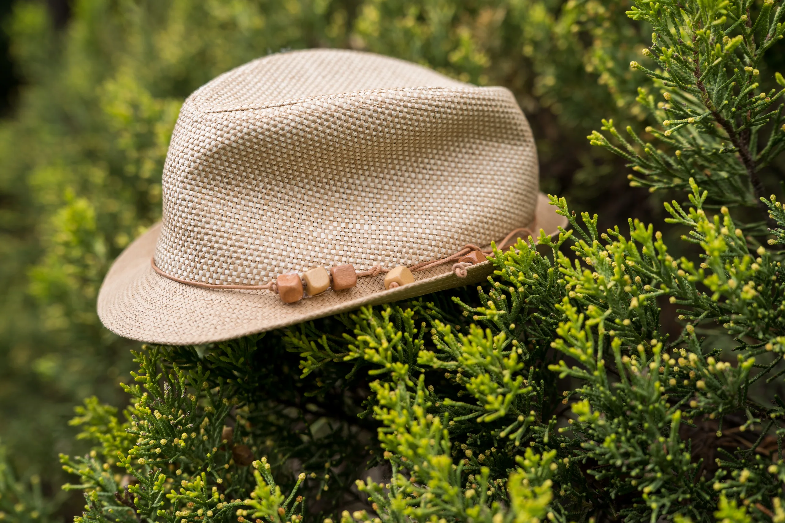 A small straw hat resting on a bush